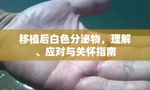 移植后白色分泌物，理解、應(yīng)對與關(guān)懷指南