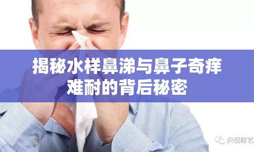 揭秘水樣鼻涕與鼻子奇癢難耐的背后秘密