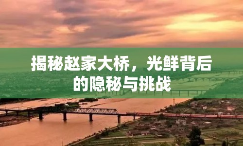 揭秘趙家大橋，光鮮背后的隱秘與挑戰(zhàn)