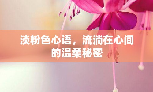 淡粉色心語(yǔ)，流淌在心間的溫柔秘密