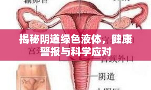 揭秘陰道綠色液體，健康警報與科學(xué)應(yīng)對