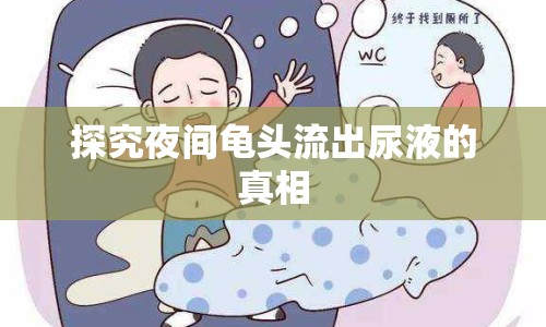 探究夜間龜頭流出尿液的真相