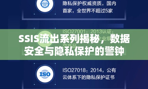 SSIS流出系列揭秘，數據安全與隱私保護的警鐘