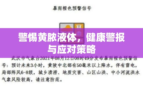 警惕黃膿液體，健康警報與應(yīng)對策略