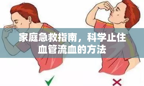 家庭急救指南，科學(xué)止住血管流血的方法