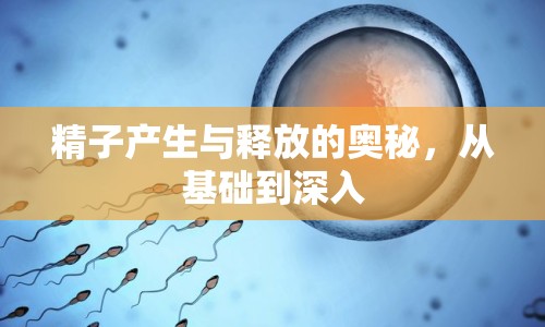 精子產(chǎn)生與釋放的奧秘，從基礎(chǔ)到深入