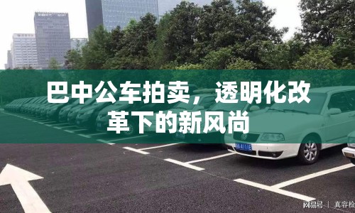 巴中公車拍賣，透明化改革下的新風(fēng)尚