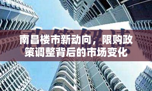 南昌樓市新動向，限購政策調(diào)整背后的市場變化