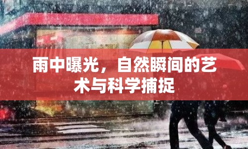 雨中曝光，自然瞬間的藝術(shù)與科學(xué)捕捉