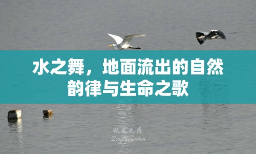 水之舞，地面流出的自然韻律與生命之歌