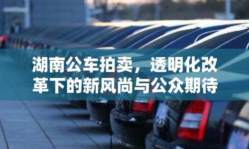 湖南公車拍賣，透明化改革下的新風尚與公眾期待