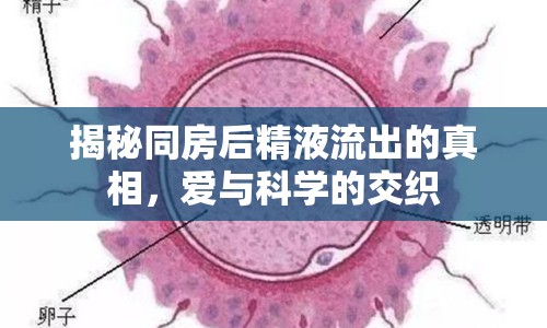 揭秘同房后精液流出的真相，愛與科學(xué)的交織