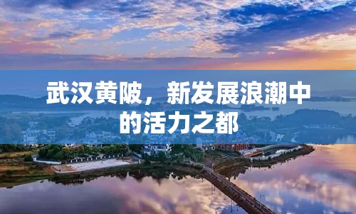 武漢黃陂，新發(fā)展浪潮中的活力之都