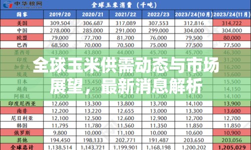 全球玉米供需動(dòng)態(tài)與市場(chǎng)展望，最新消息解析