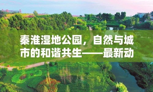 秦淮濕地公園，自然與城市的和諧共生——最新動態(tài)與未來展望