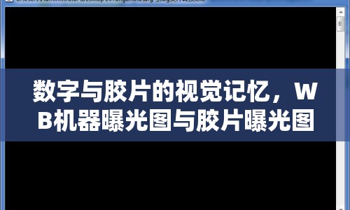 數(shù)字與膠片的視覺記憶，WB機器曝光圖與膠片曝光圖的對比與賞析