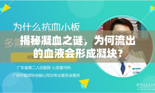 揭秘凝血之謎，為何流出的血液會形成凝塊？