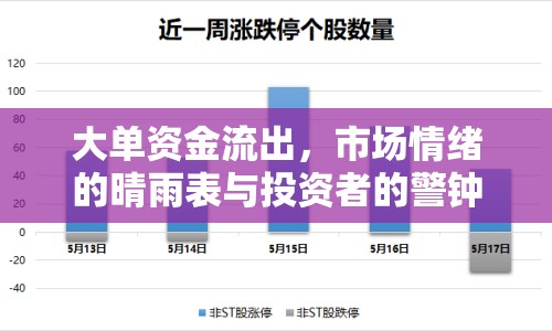 大單資金流出，市場情緒的晴雨表與投資者的警鐘