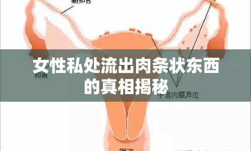 女性私處流出肉條狀東西的真相揭秘