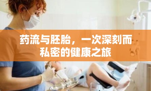 藥流與胚胎，一次深刻而私密的健康之旅