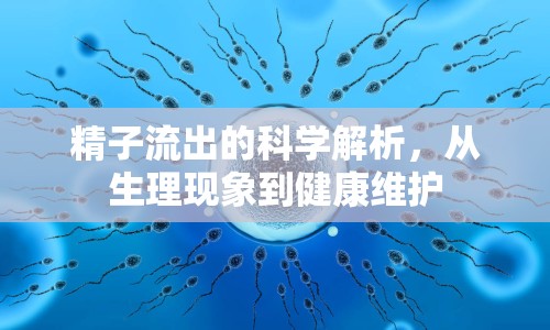 精子流出的科學(xué)解析，從生理現(xiàn)象到健康維護