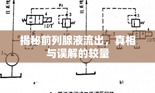 揭秘前列腺液流出，真相與誤解的較量