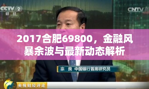 2017合肥69800，金融風(fēng)暴余波與最新動態(tài)解析