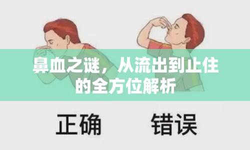 鼻血之謎，從流出到止住的全方位解析