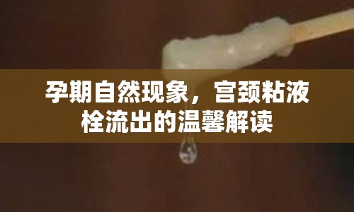 孕期自然現(xiàn)象，宮頸粘液栓流出的溫馨解讀