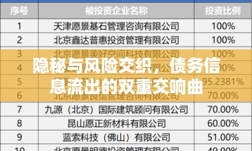 隱秘與風(fēng)險(xiǎn)交織，債務(wù)信息流出的雙重交響曲