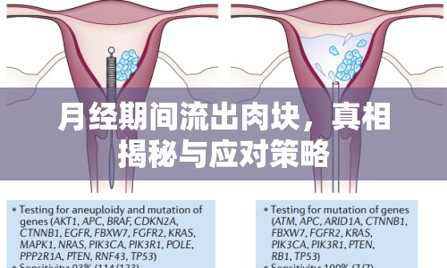 月經(jīng)期間流出肉塊，真相揭秘與應對策略