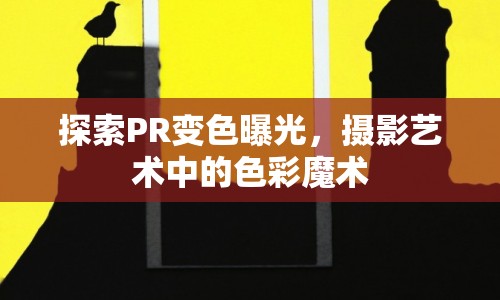 探索PR變色曝光，攝影藝術中的色彩魔術