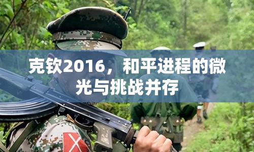 克欽2016，和平進(jìn)程的微光與挑戰(zhàn)并存