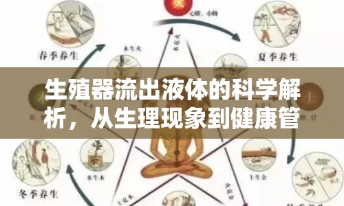 生殖器流出液體的科學解析，從生理現象到健康管理