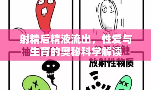 射精后精液流出，性愛與生育的奧秘科學(xué)解讀