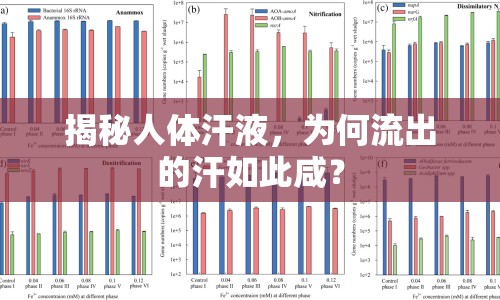 揭秘人體汗液，為何流出的汗如此咸？