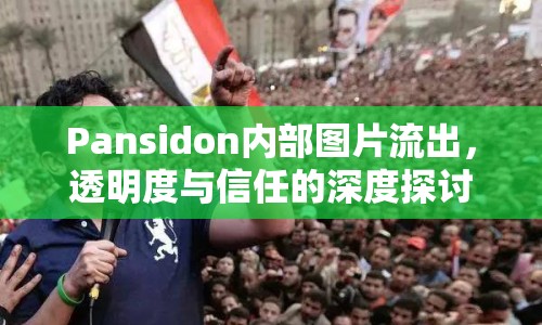 Pansidon內(nèi)部圖片流出，透明度與信任的深度探討