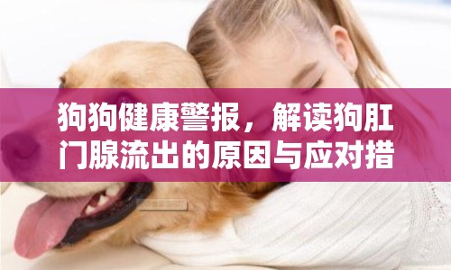 狗狗健康警報，解讀狗肛門腺流出的原因與應對措施