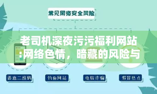 老司機(jī)深夜污污福利網(wǎng)站:網(wǎng)絡(luò)色情，暗藏的風(fēng)險(xiǎn)與應(yīng)對(duì)