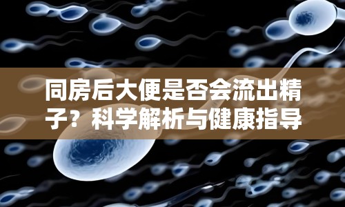 同房后大便是否會(huì)流出精子？科學(xué)解析與健康指導(dǎo)