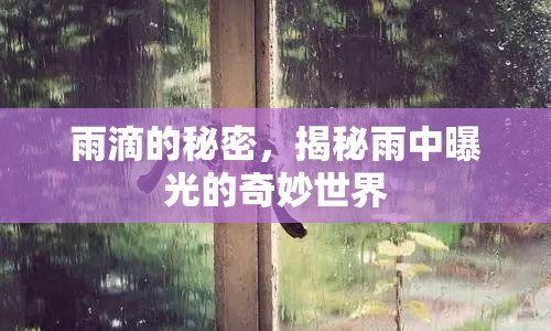 雨滴的秘密，揭秘雨中曝光的奇妙世界