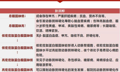 大便流出白色液體的原因及其重要性，了解你的身體信號