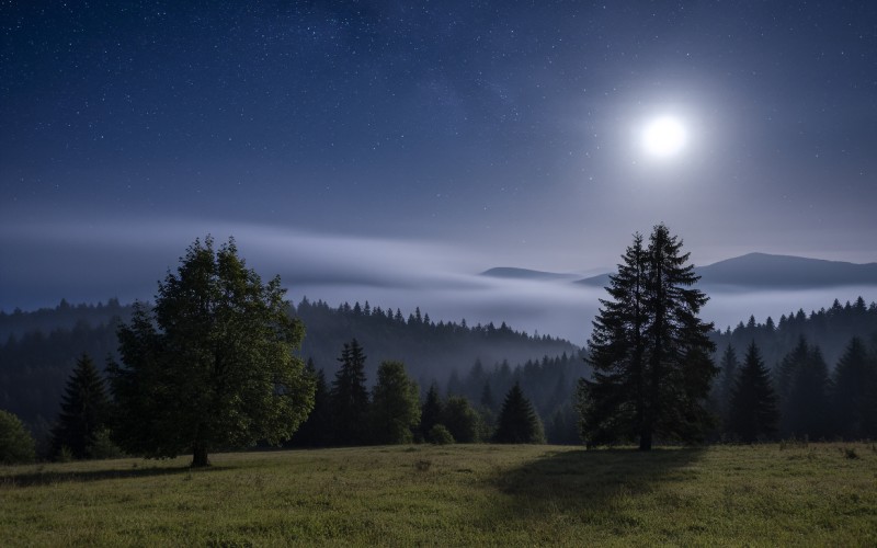 深夜君子福利:深夜的靜謐與知識的盛宴，探索網絡學習資源的深夜福利